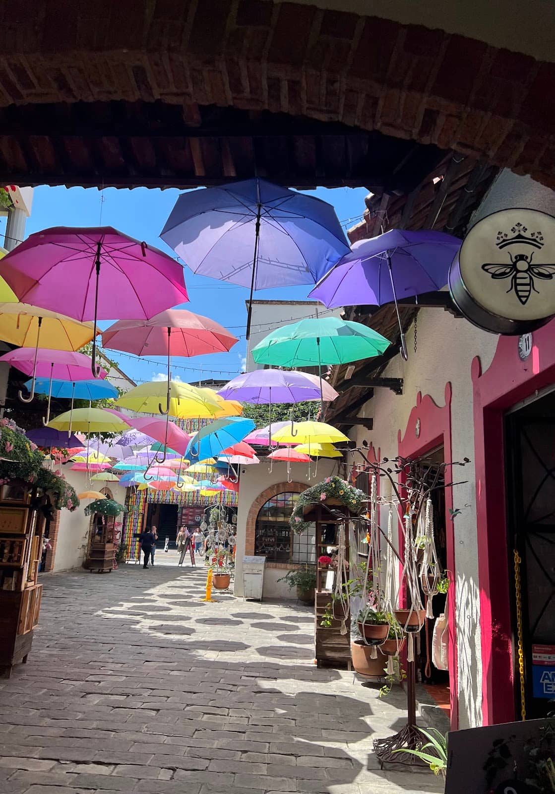 Street Food Adventures