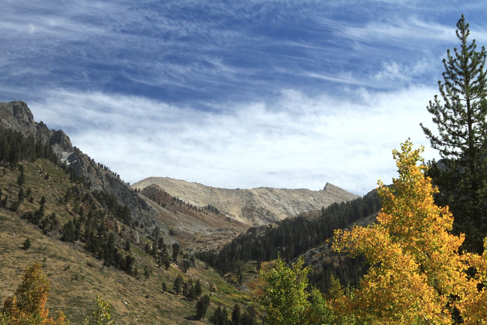 Mineral King Valley - Image 1