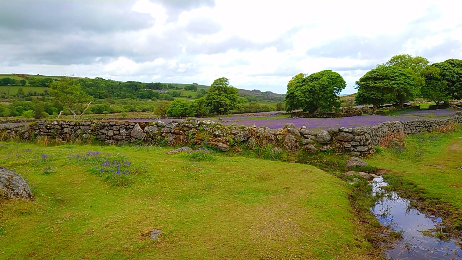 Tranquil Farmland & Woodland