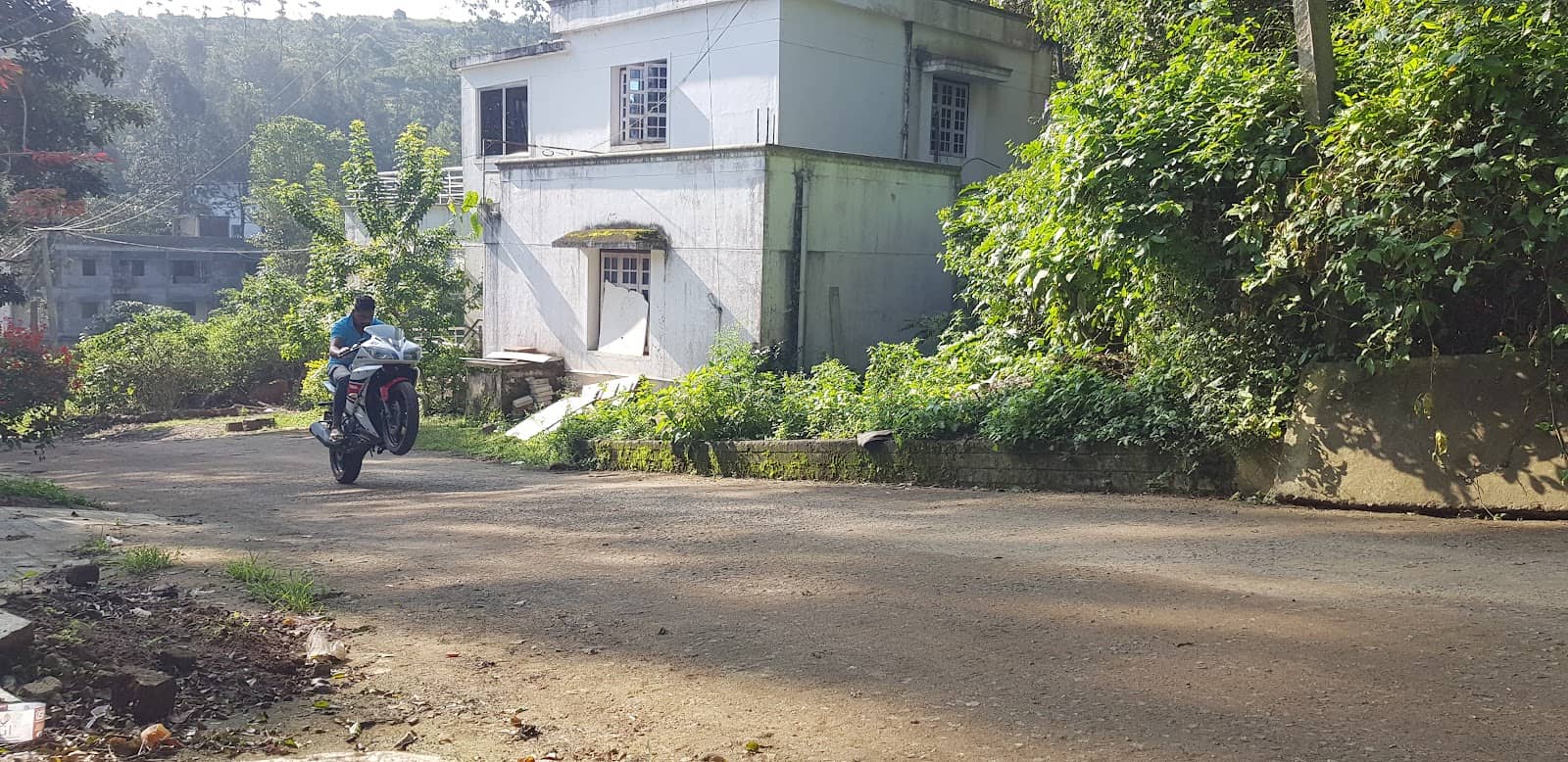 Serene Walking Trails