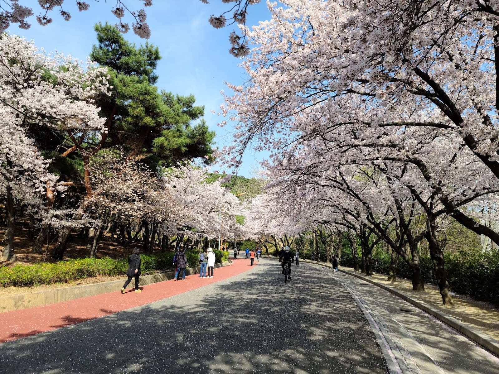 Duryu Park - Image 1