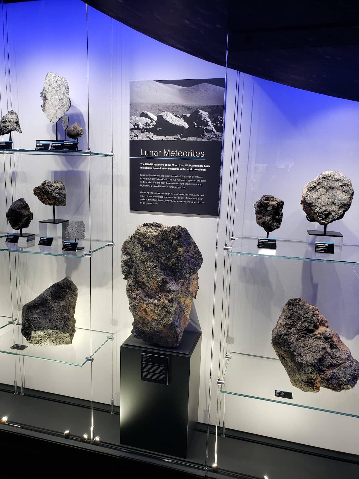 Interactive Exhibits