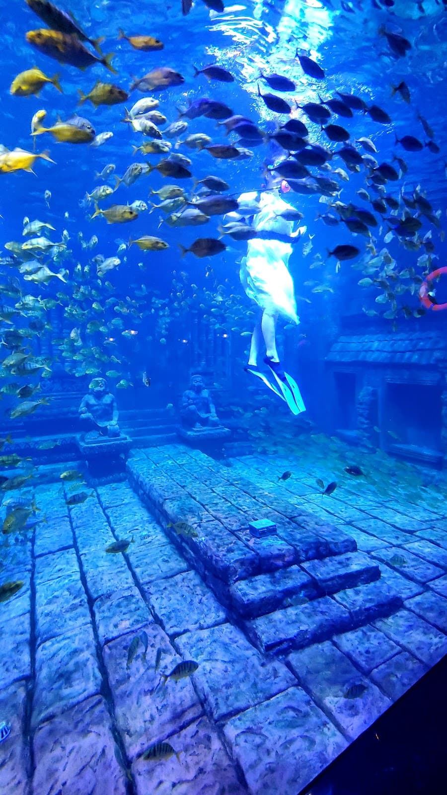 Beihai Marine Culture Museum - Image 1