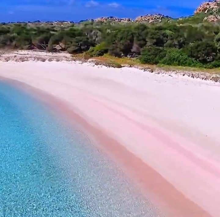 Budelli Island & Pink Beach - Image 1