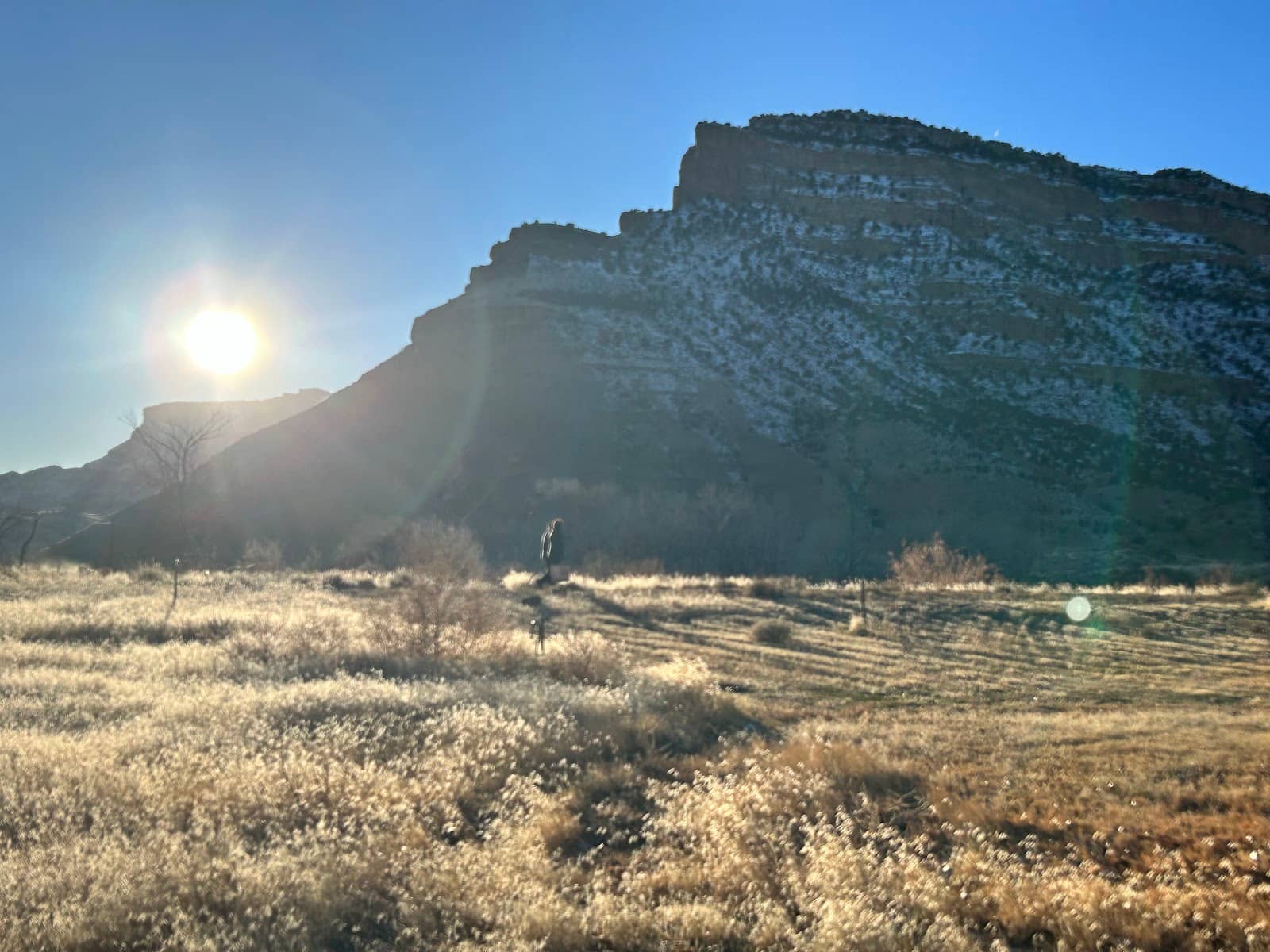Colorado River Views