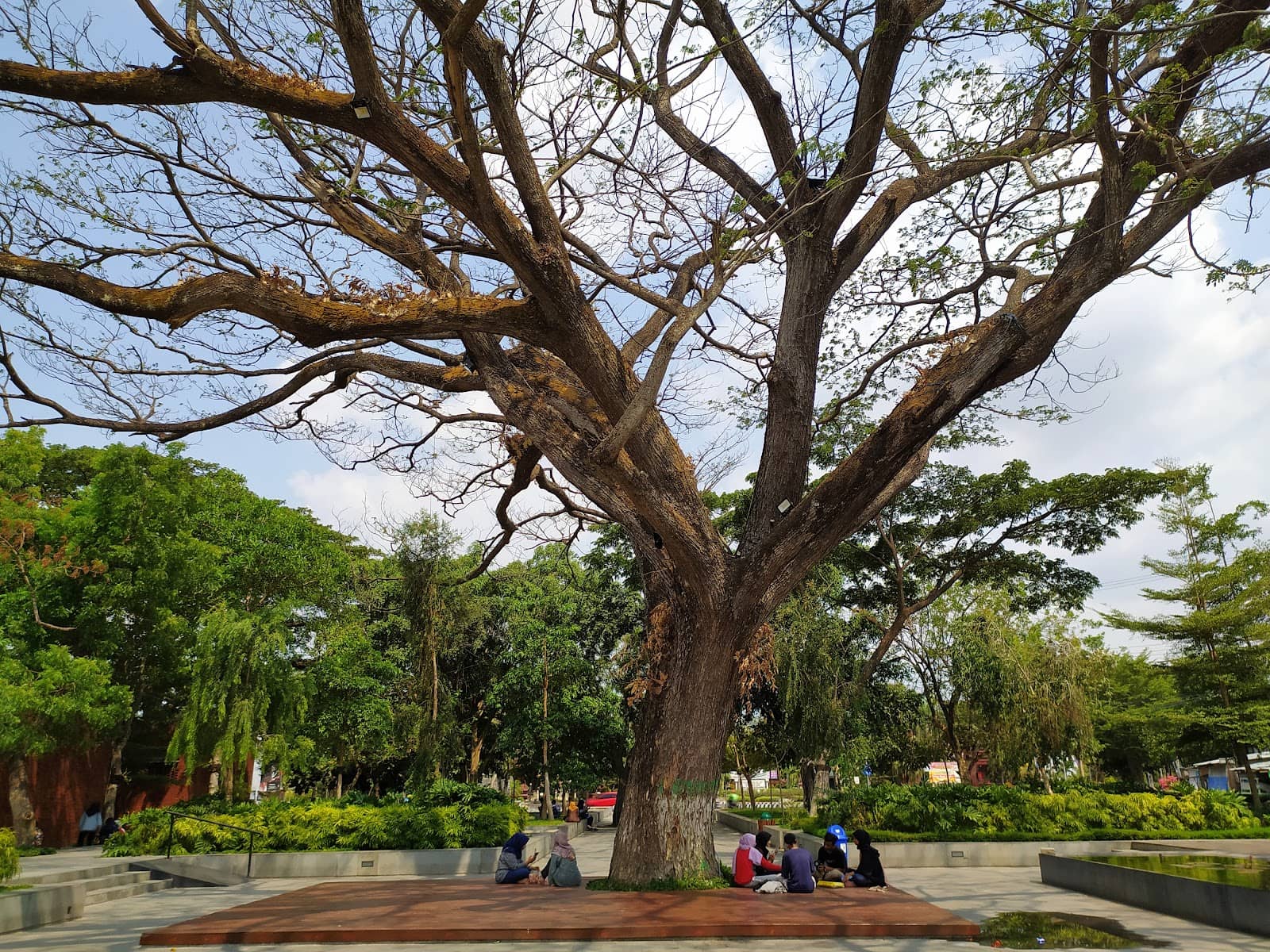 Street Food Delights