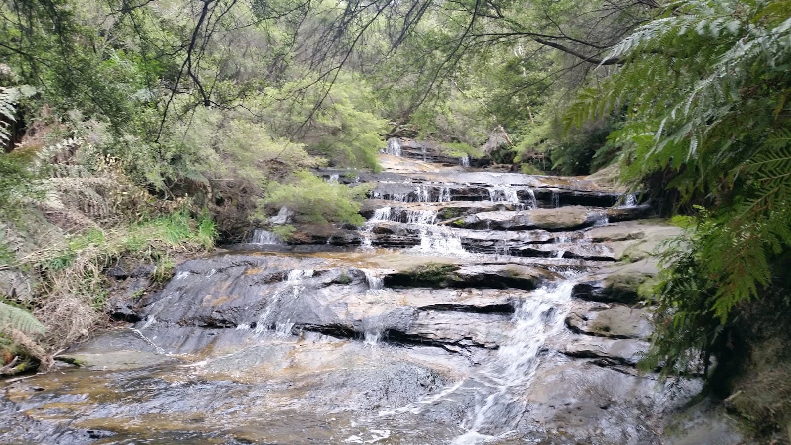 Leura Cascades - Image 1