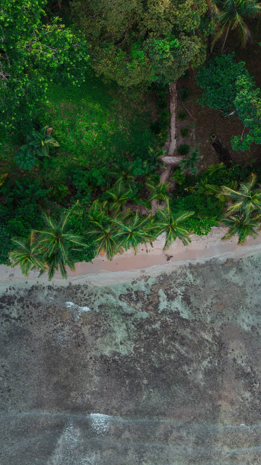 Vertical photo