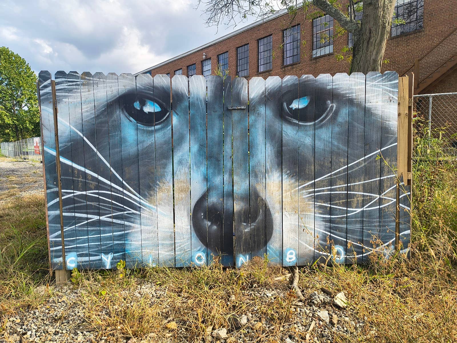 Hidden Waterfall Spot