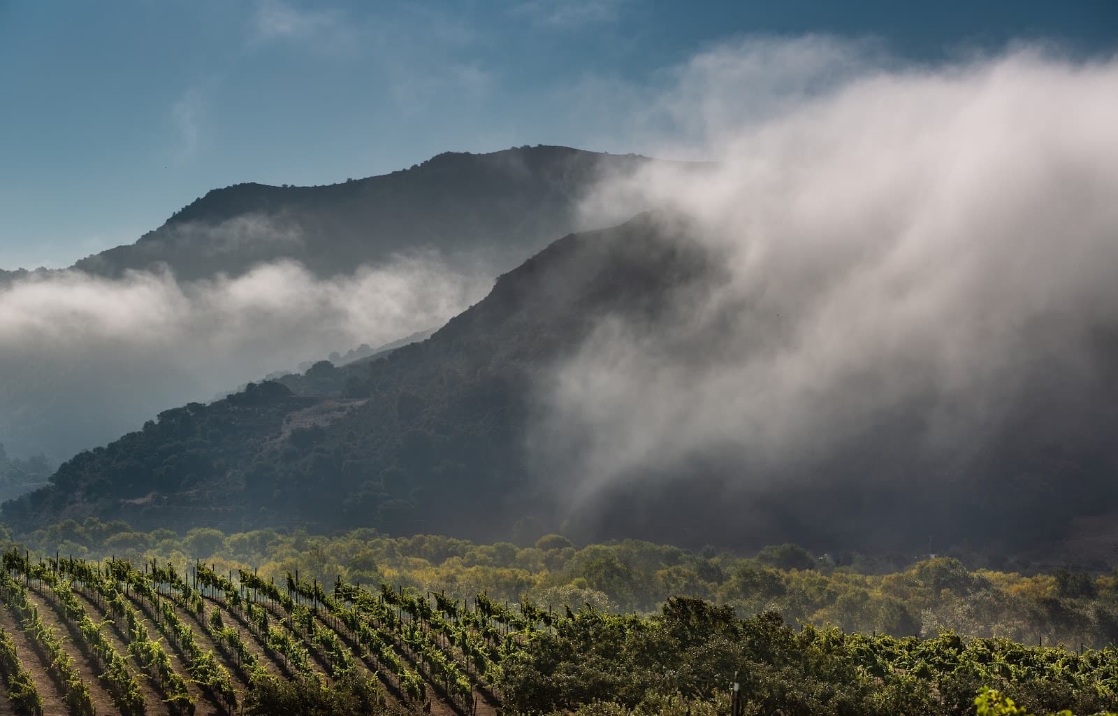 Pence Vineyards & Winery - Image 1