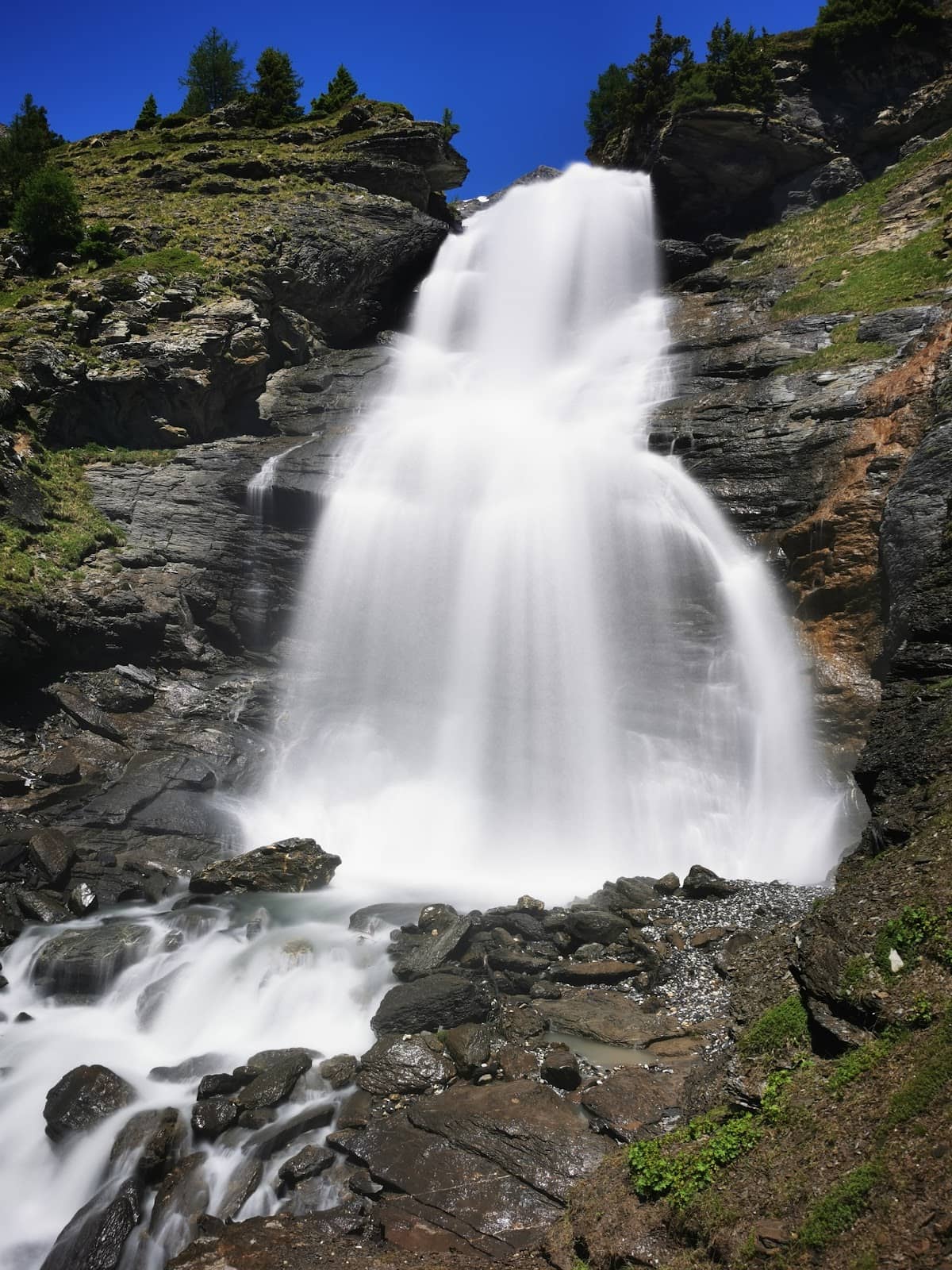 Vertical photo