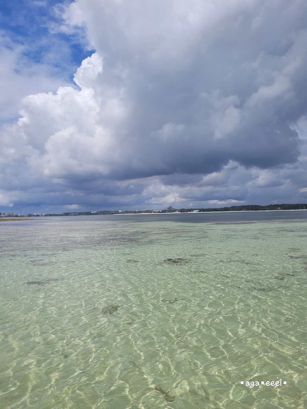Mombasa Marine National Park and Reserve - Image 1