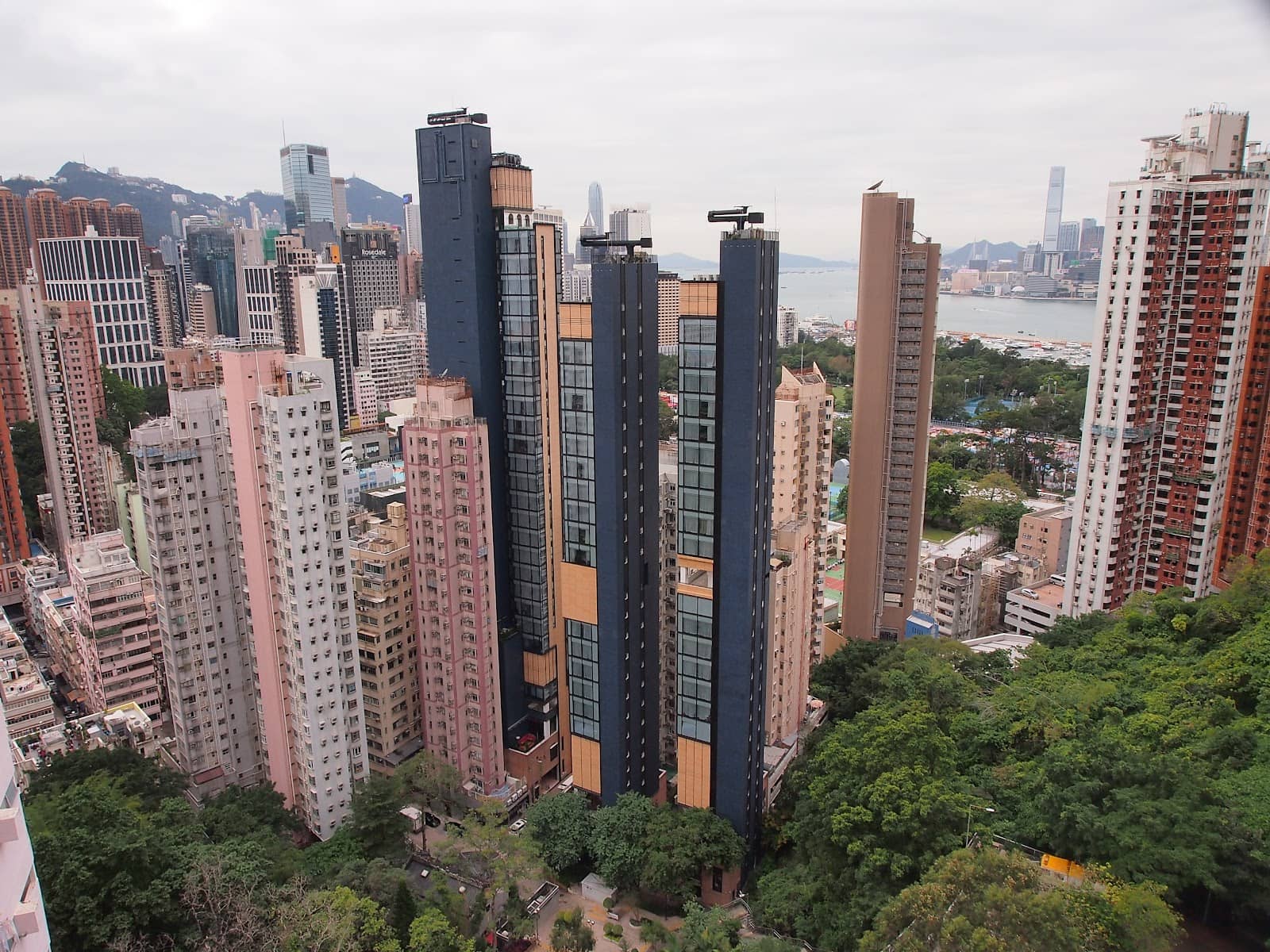 Tai Hang Fire Dragon Dance