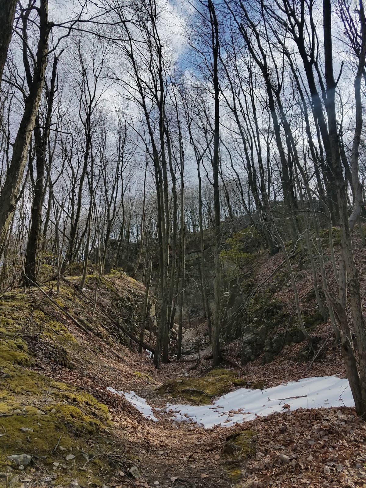 Welsh Mountain Nature Preserve - Image 1