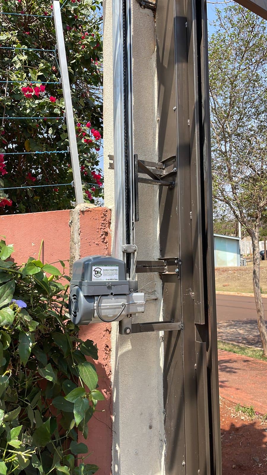 Vertical photo