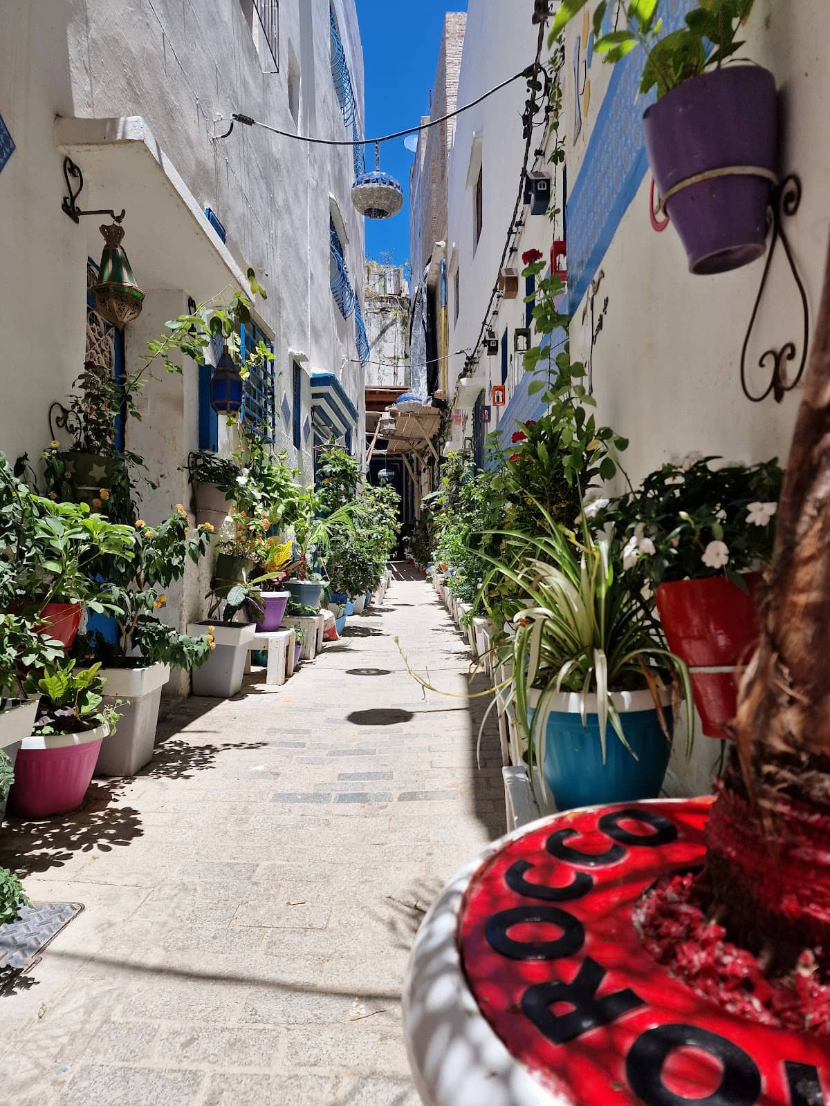 Vibrant Medina Souks
