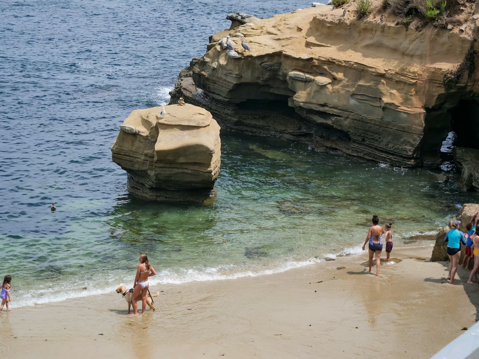 La Jolla - Image 1