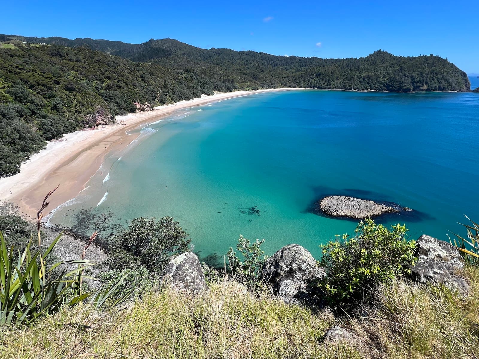 New Chums Beach Coromandel - Image 1