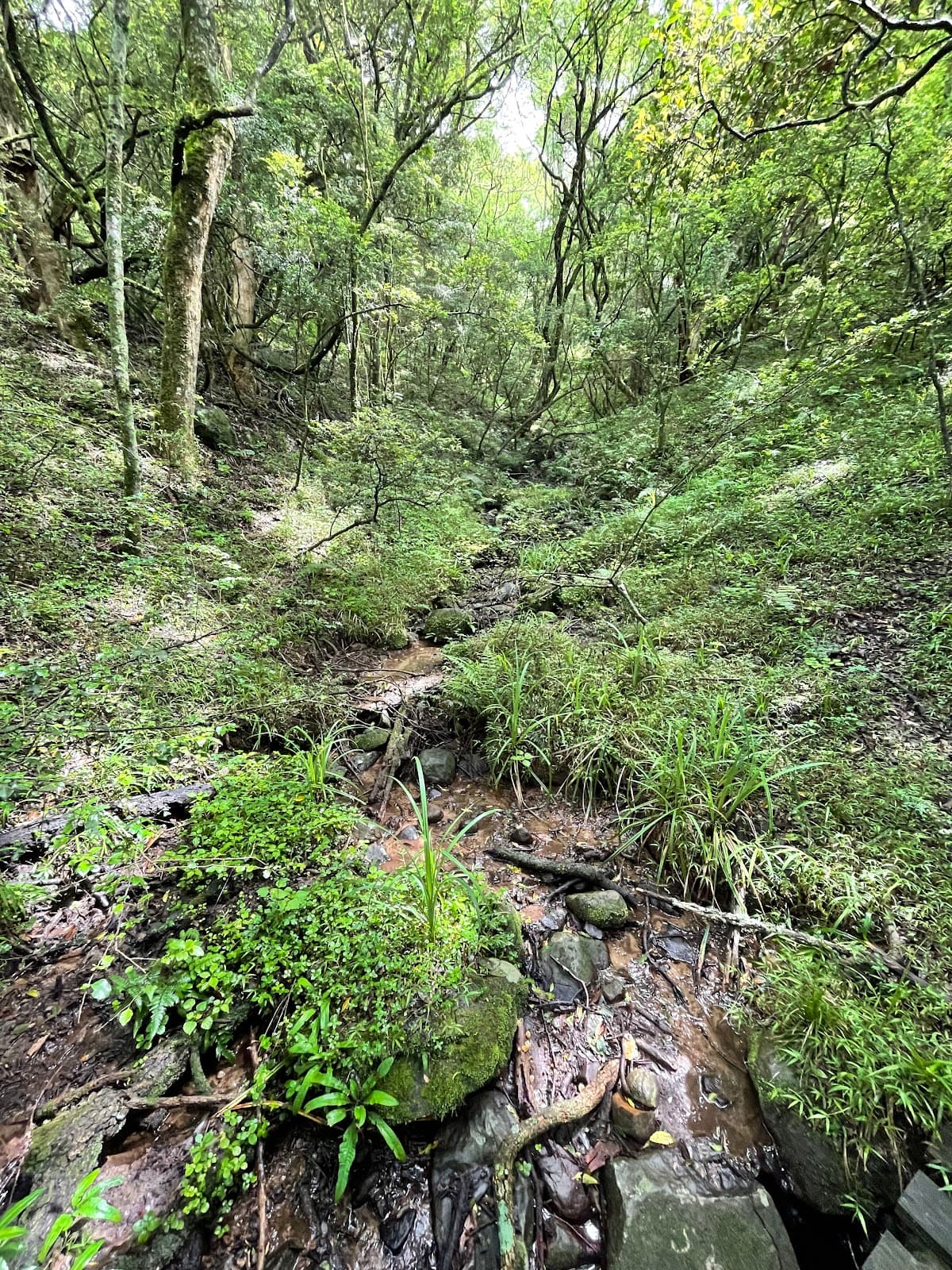 Fort Nottingham Nature Reserve - Image 1