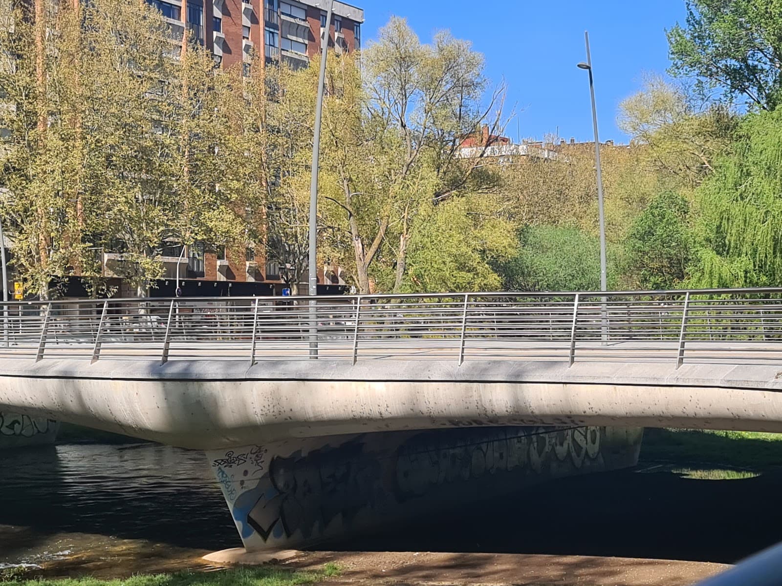 Puente de la Evolución - Image 1