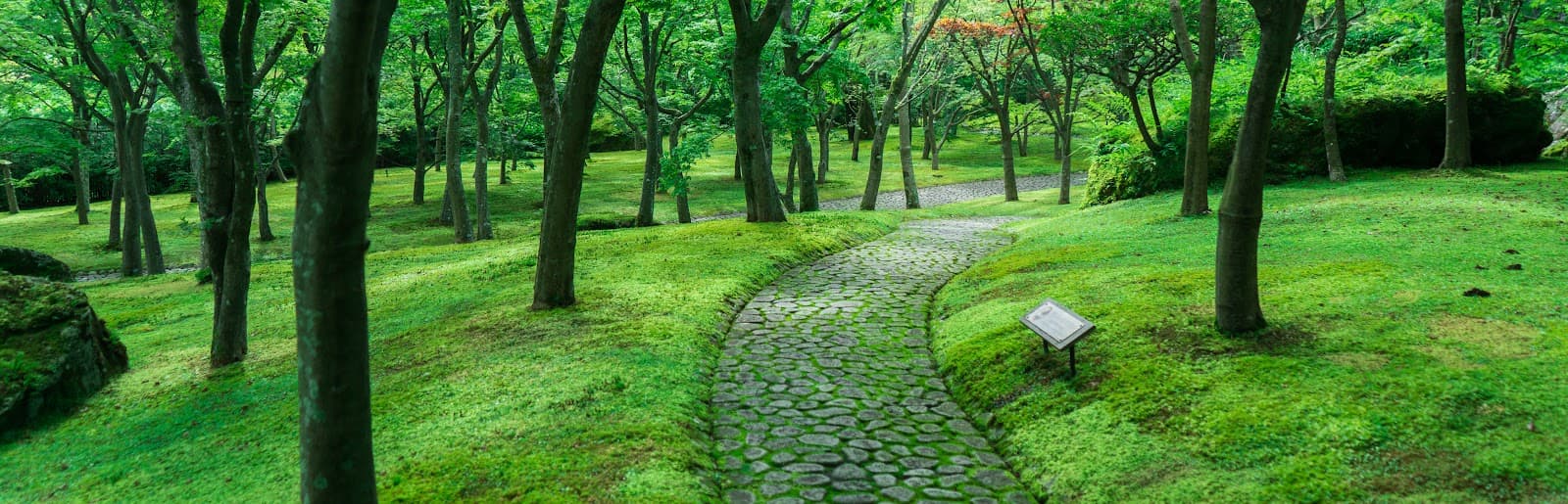 Hakone Museum of Art - Image 1