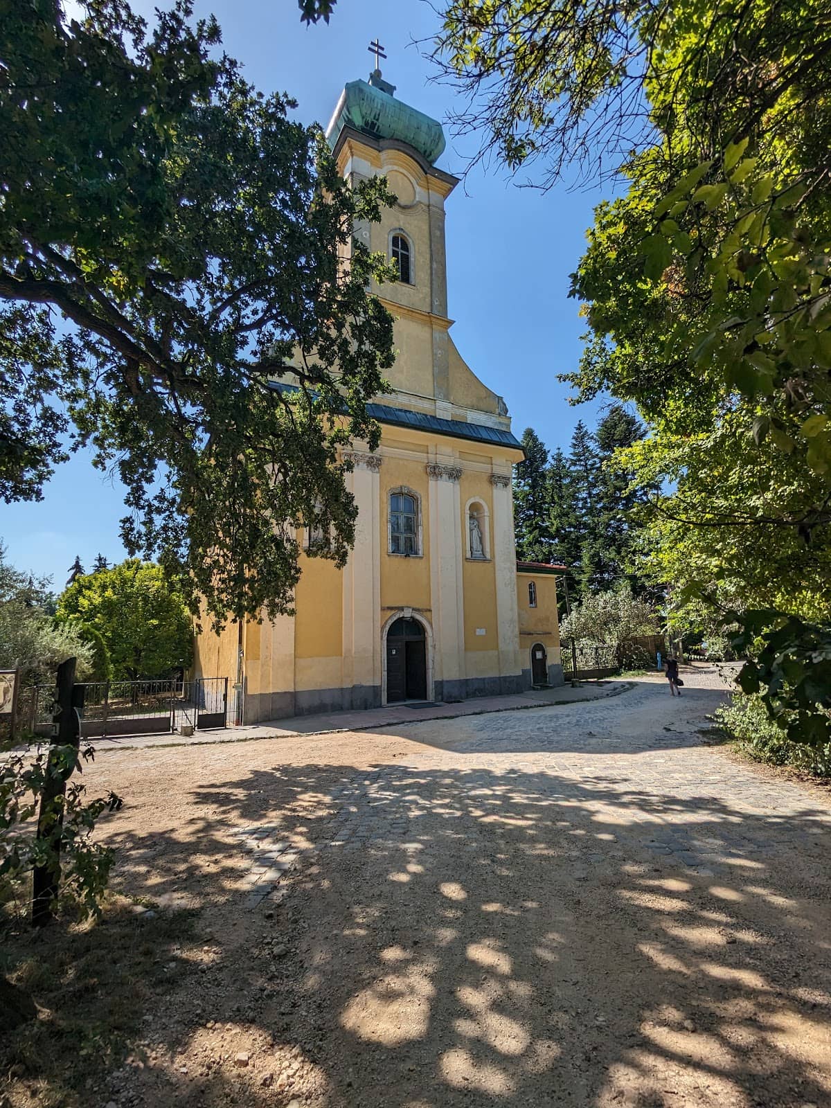 Forest Walking Trails