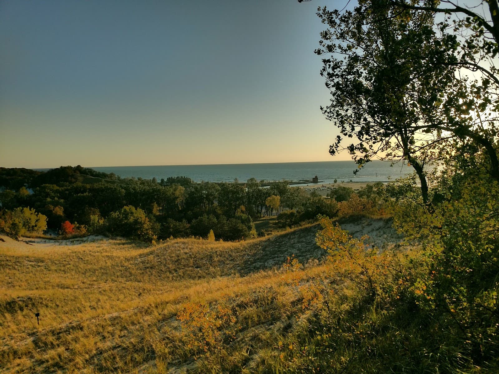 Mount Pisgah Dune Boardwalk - Image 1