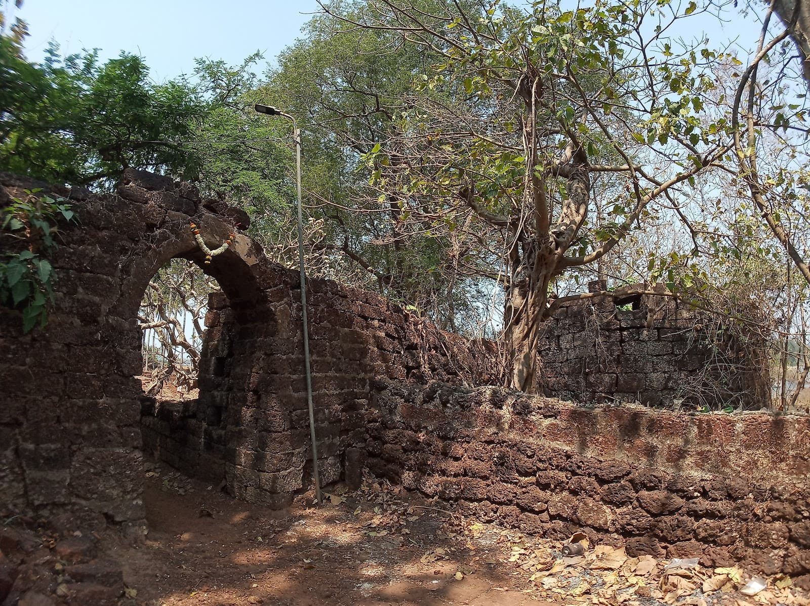 Sarjekot Fort - Image 1