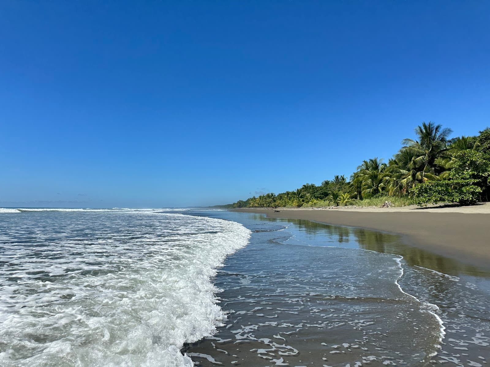 Playa Matapalo - Image 1