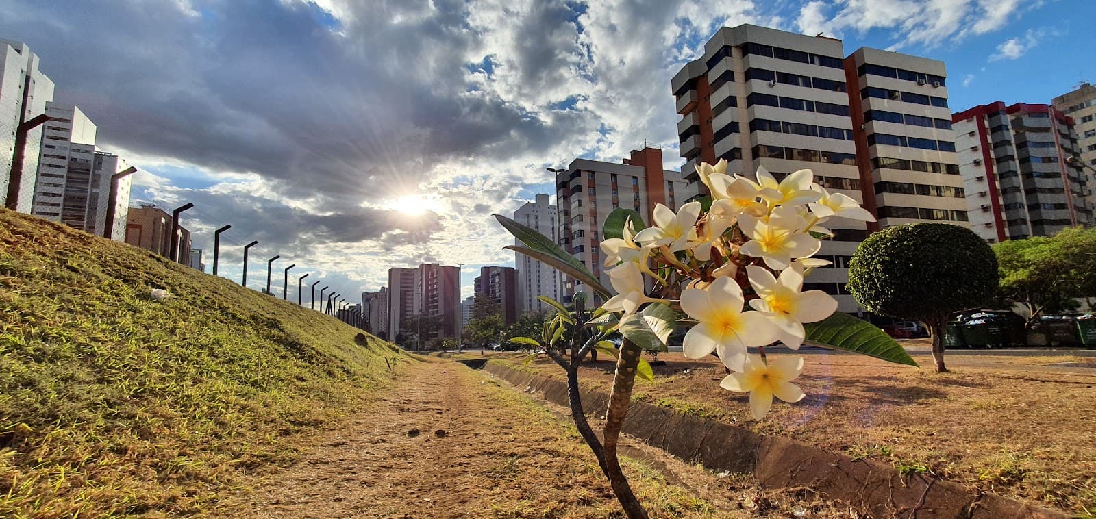 Águas Claras Brasília - Image 1