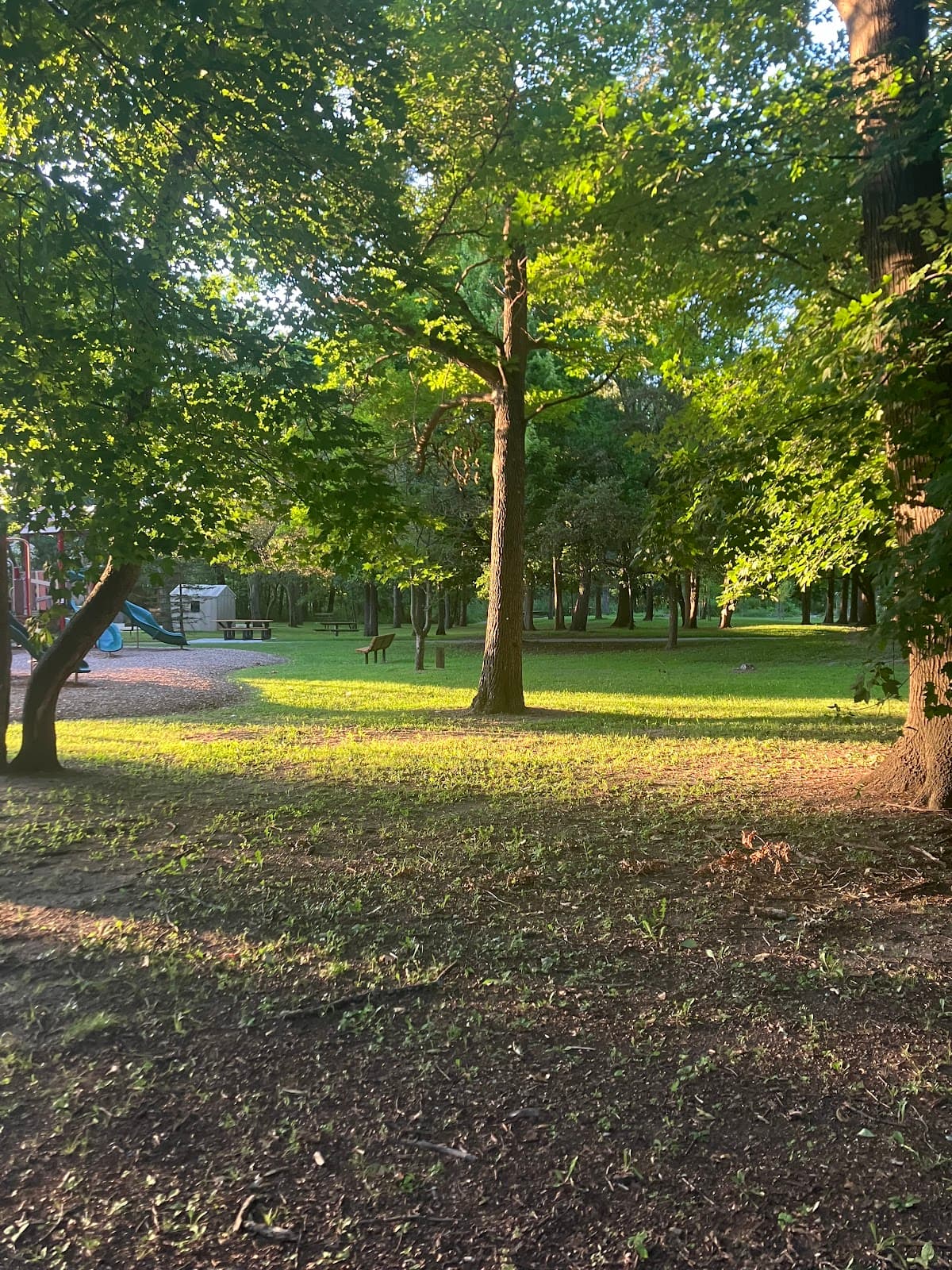 Royal Oak Arboretum - Image 1