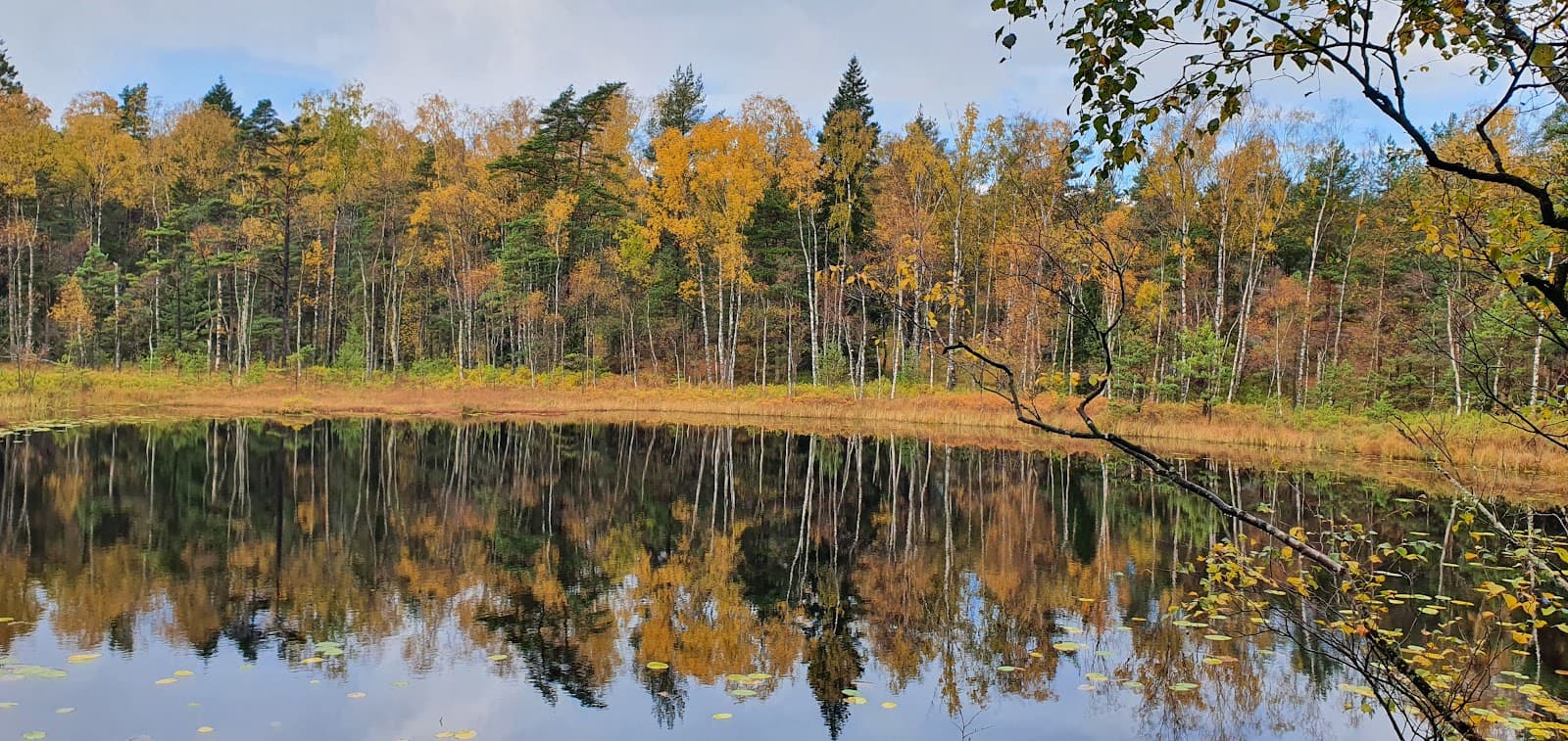 Delsjön Nature Reserve - Image 1