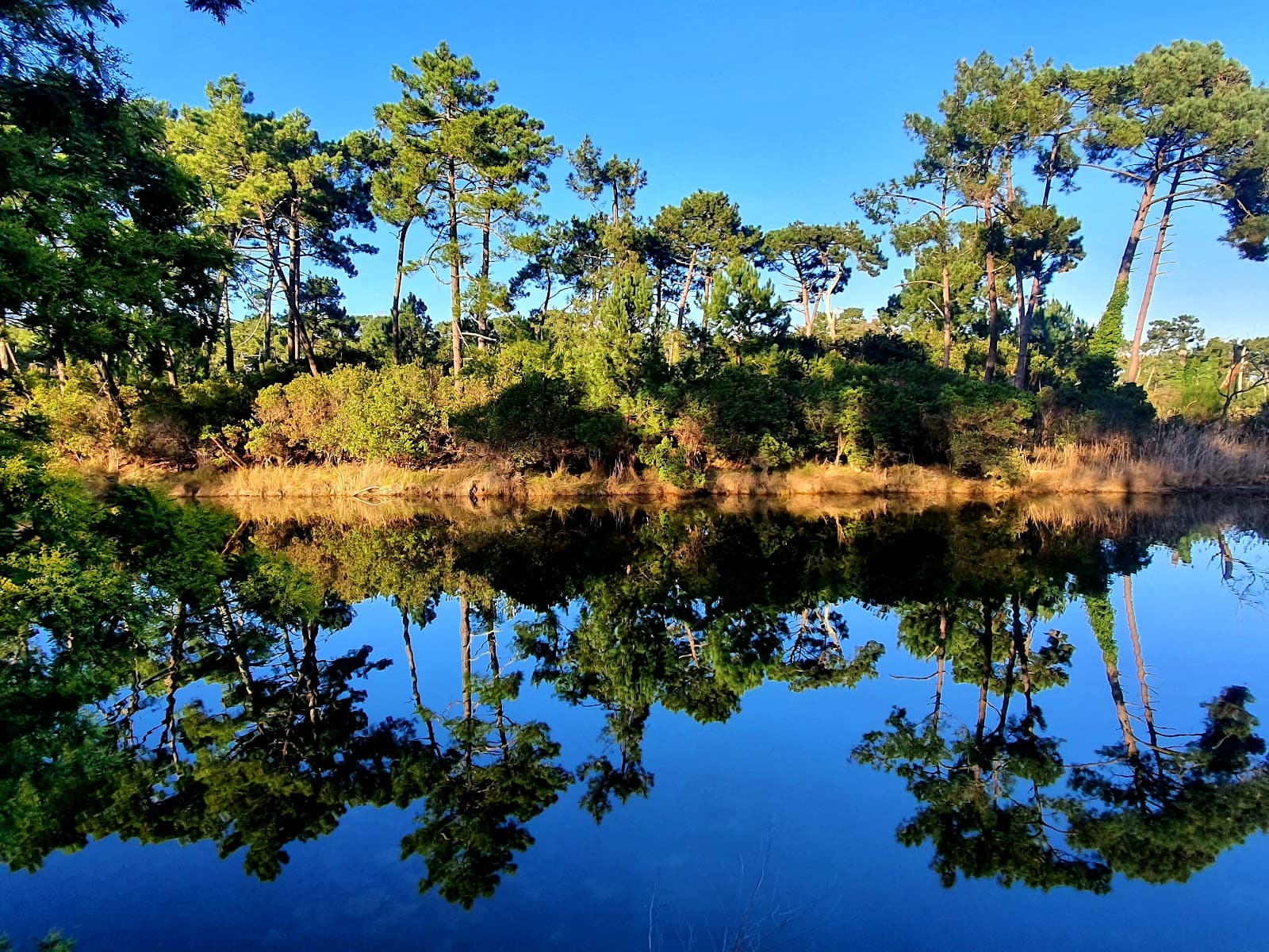 Réservoirs de Piraillan - Image 1