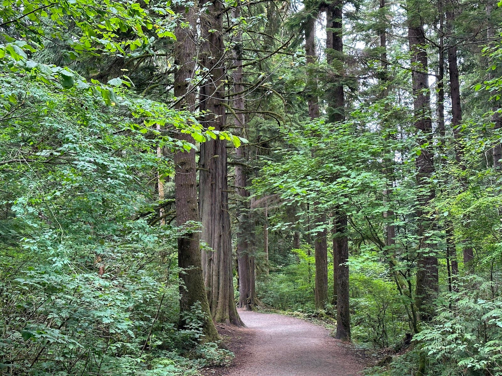 Houston Trail - Image 1