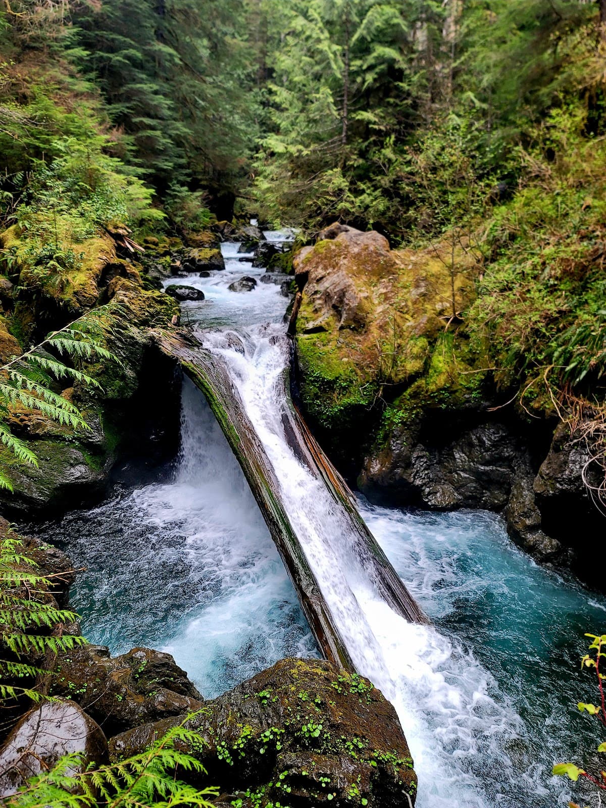 Hellhole Canyon Trail (Maidenhair Falls) - Image 1