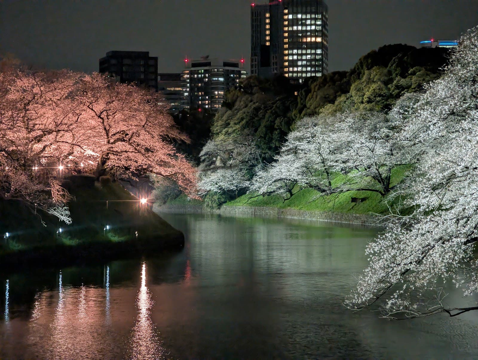 Chidorigafuchi Green Way - Image 1