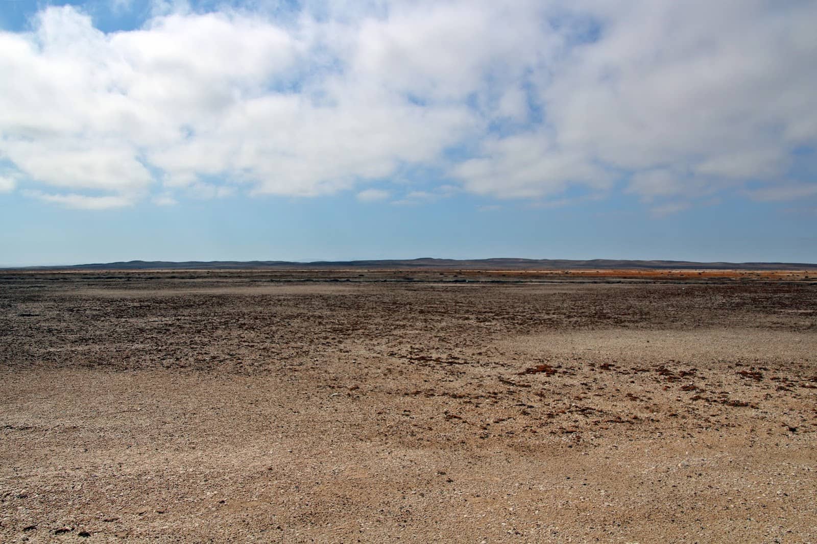 Peaceful Natural Reserve