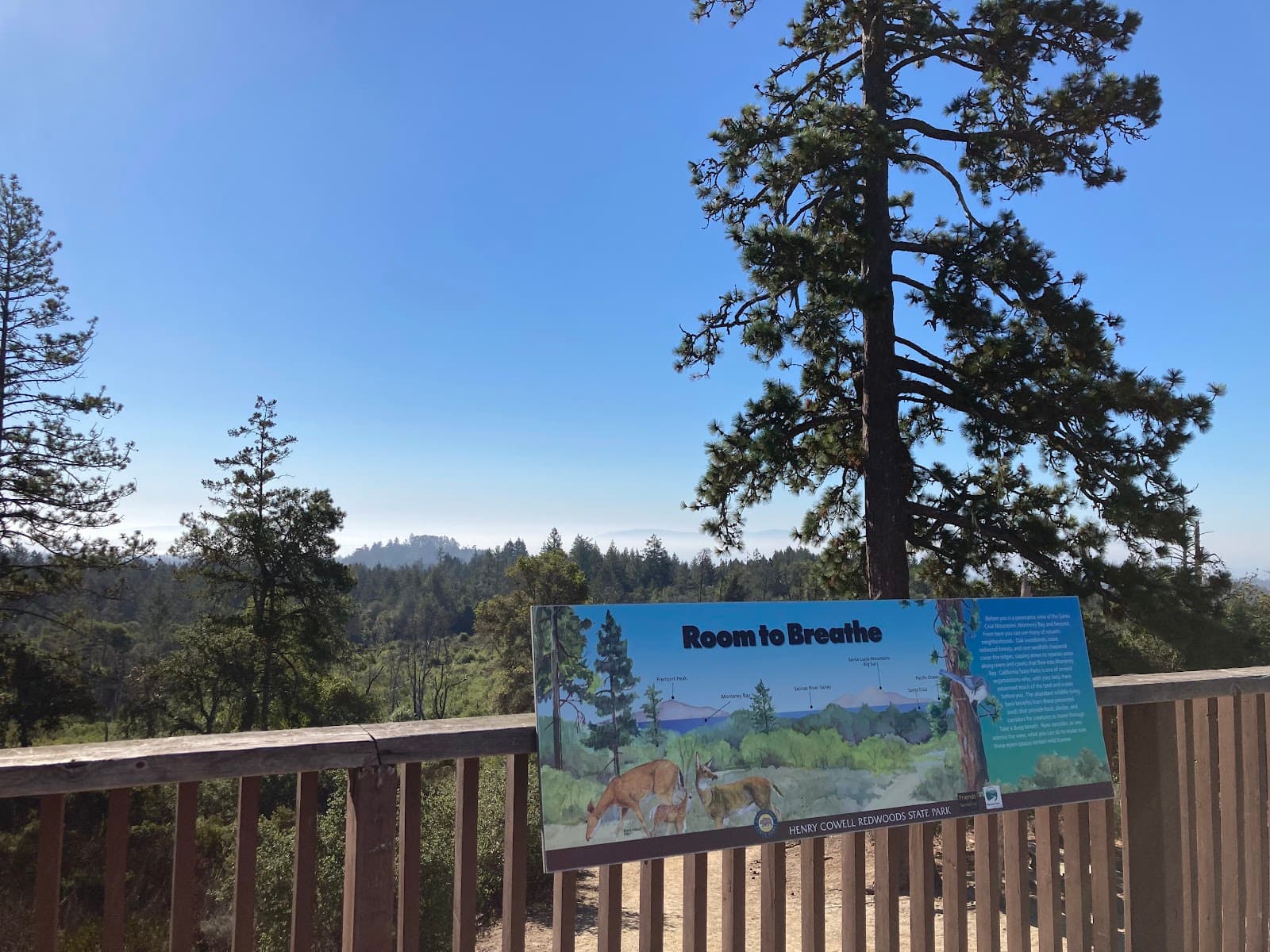 Henry Cowell Sandhills Observation Deck - Image 1