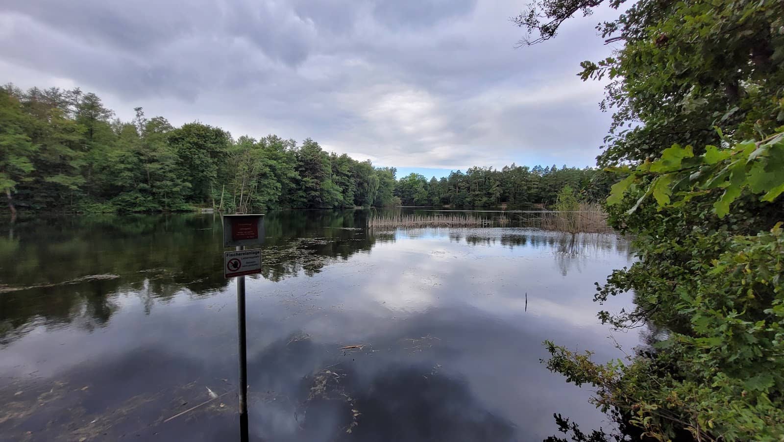 Surrounding Ville Forest