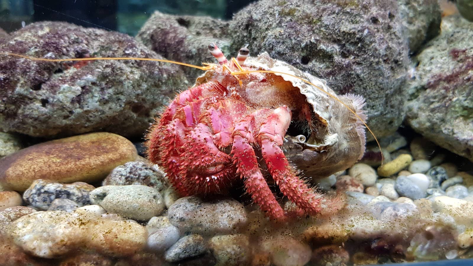 Interactive Tactile Tank