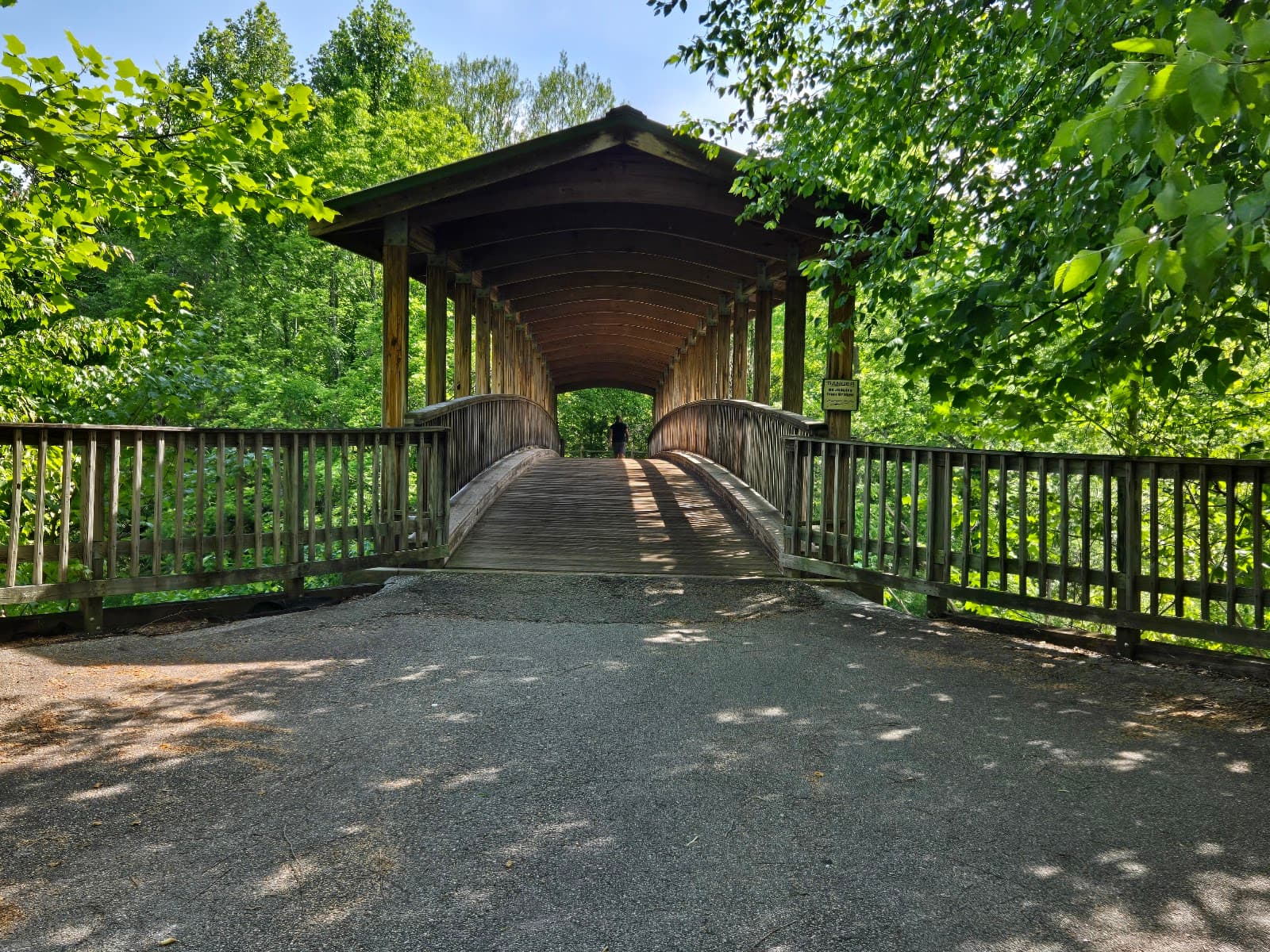 Big Bear Park - Image 1