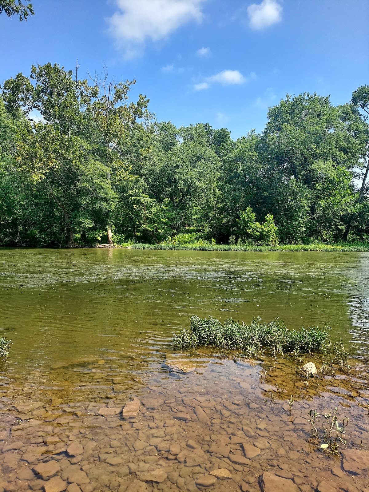 Elkhorn Creek Paddling - Image 1