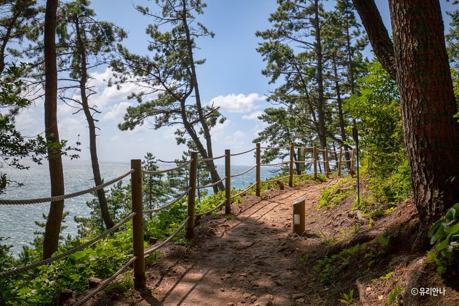 Dalmaji Hill (Moontan Road) Busan - Image 1