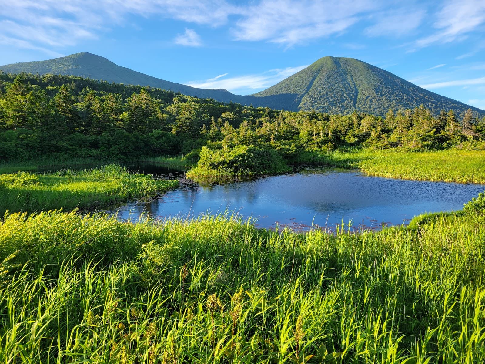 Suiren-numa Pond - Image 1