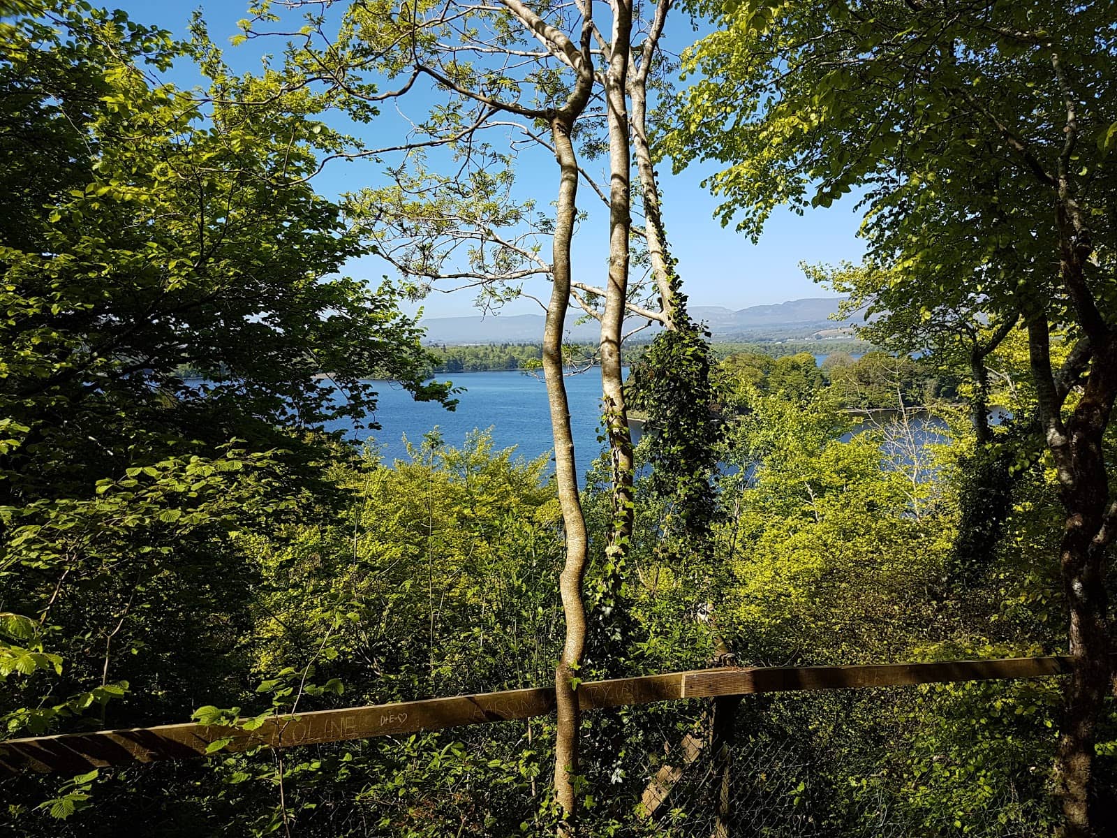 Vertical photo