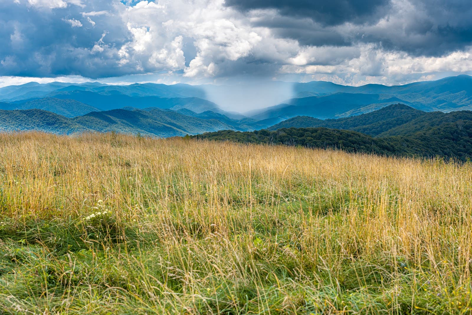 Max Patch - Image 1