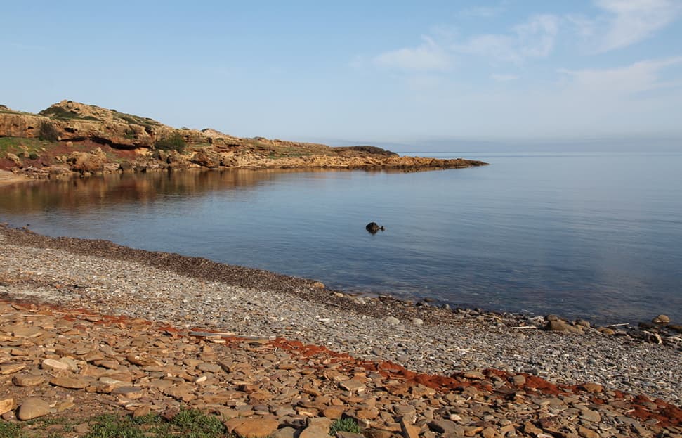Camí de Cavalls Es Grau–Favàritx section - Image 1