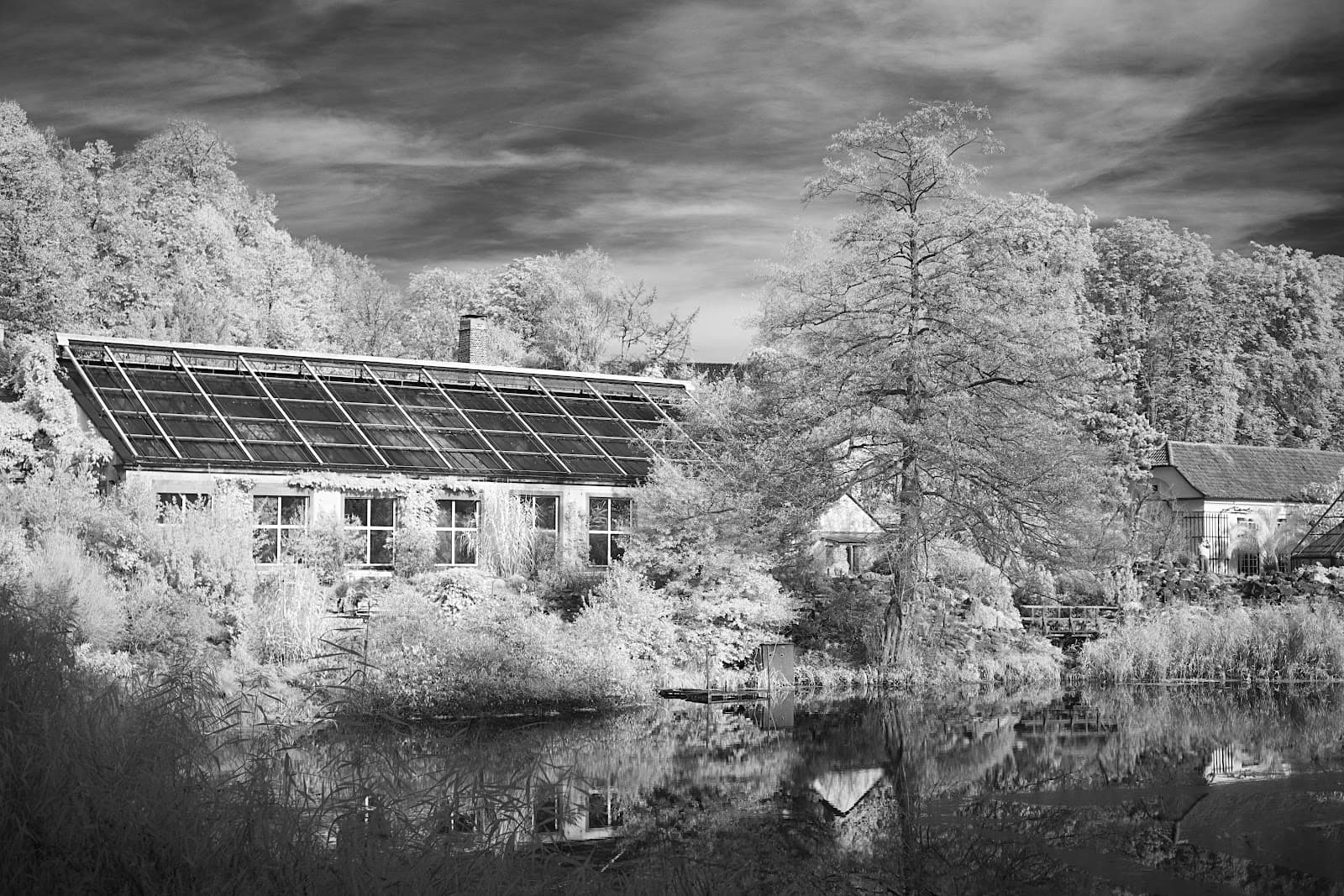 Schlossgarten Münster - Image 1