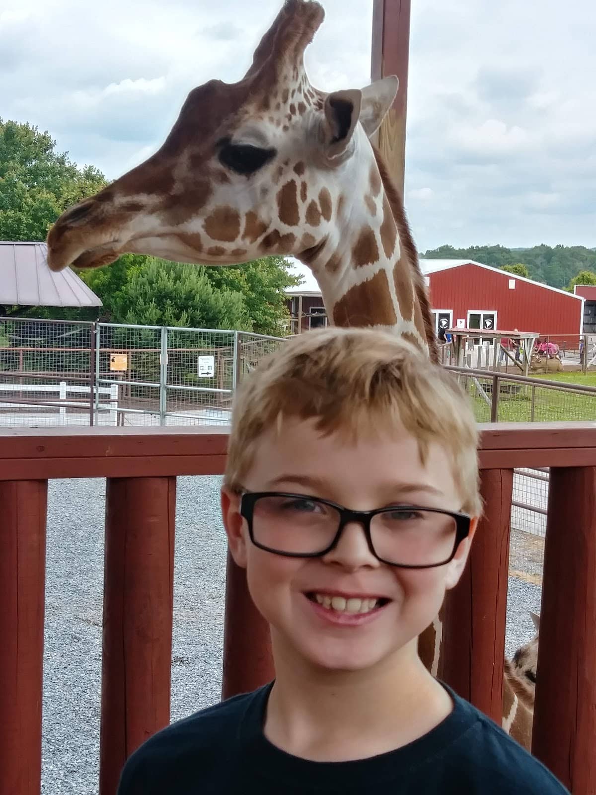 Interactive Feeding Experiences