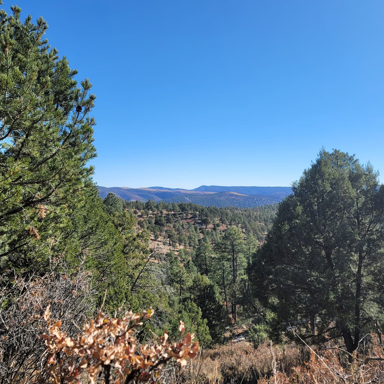 Cedar Creek Recreation Area & Trails - Image 1